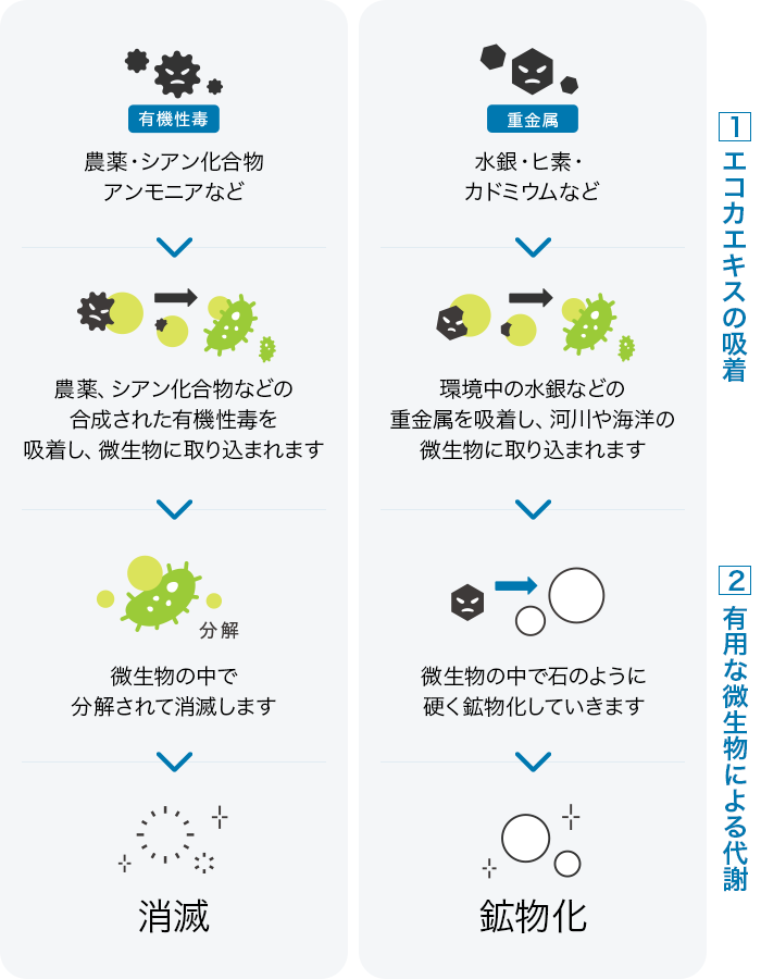 エコカエキス イメージ図