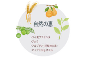 イメージ画像